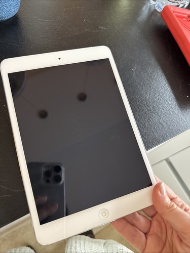 Apple ipad mini wifi - apple,