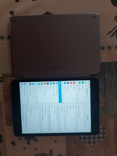 Ipad mini wifi - ipad,