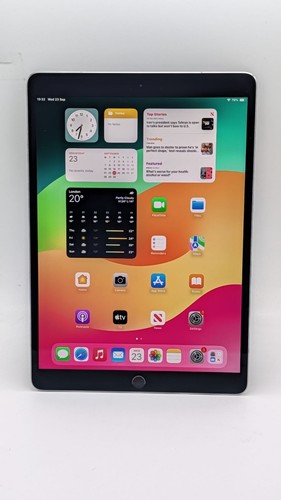 Apple ipad pro pollici - ipad,